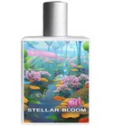 Stellar Bloom LabHouse