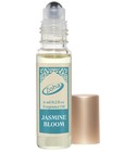 Jasmine Bloom Perfume Oil Roll On Zoha Fragrances