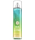 parfém Blue Waves & Citrus
