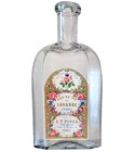 parfém Eau de Vie de Lavande Ambrée