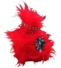 parfém Le Chat Rouge