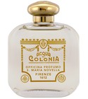 Caprifoglio (Honeysuckle) Santa Maria Novella