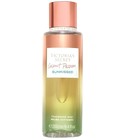 Coconut Passion Sunkissed Victoria's Secret