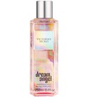 Dream Angel Victoria's Secret