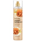 Caramel Indulgence Bodycology