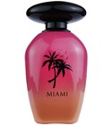 Night de Paris Miami Night De Paris