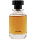 Panarea Lime