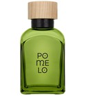 Pomelo Hombre Adolfo Dominguez