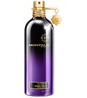 Starry Nights Intense Montale