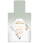 Floral Musk Nature Blossom
