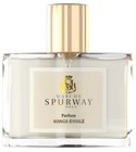 Songe Étoilé Marcus Spurway