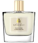Citron Praline Marcus Spurway