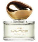 Radiant Spirit H&M