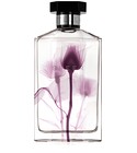 Sheer Stella 2011 Stella McCartney