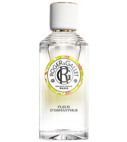 Open Roger & Gallet cologne - a fragrance for men 1985