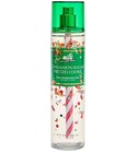 Cinnamon Sugar Pretzel Cookie Bath & Body Works