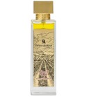 Enigma of Taif Swiss Arabian
