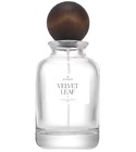 香水 Velvet Leaf