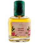 Velvet Petals Vivace