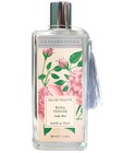 Rosa Venere La Florentina