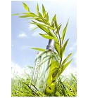 Verbena Sun L'Occitane en Provence