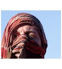 Assassin Bud Parfums