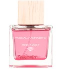 Rose Addict Pascal Morabito