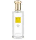 Royal English Daisy Yardley