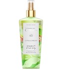 Citrus Dream Victoria's Secret