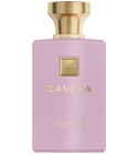 perfume Elara Canéza