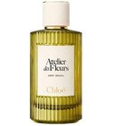 perfume Vert Soleil Chloé