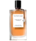 perfume Fleur de Nuit Van Cleef &amp; Arpels
