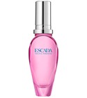 perfume Pacific Paradise (2026) Escada