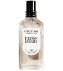 perfume Fleurs de Cerisier Eau de Toilette L'Occitane en Provence
