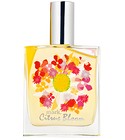 mark Citrus Bloom mark.