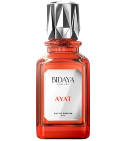 Habibi Prince Bidaya Parfums Colônia - a novo fragrância Masculino 2026