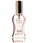 Rigas Cerini (Рижская Сирень, 2000) Dzintars