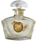 perfume Dolce Mia Rigaud