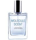 perfume Molecule Scent Pocket Scents