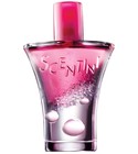 Scentini Rose Fizz Avon