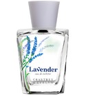 Lavender Crabtree & Evelyn