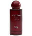 perfume Blackberry Oud Zara