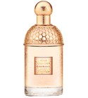 parfém Aqua Allegoria Rosa Blanca