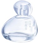 perfume Biluochun Green Tea Chasense