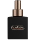 perfume Cavalheiro Amélie