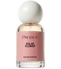 perfume Solar Flower Pacifica