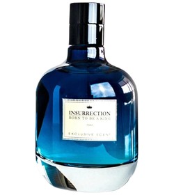 Insurrection II Wild Reyane Tradition cologne - a fragrance for men