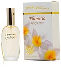 Plumeria Forever Florals Hawaii