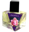 parfém Javanica