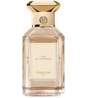 Eau de Coton Guerlain perfume - a new fragrance for women and men 2026